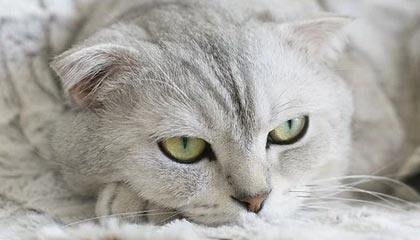 爱游戏APP_中国女足热身赛表现出色，展现强大团队默契