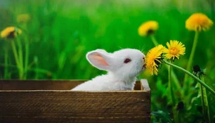 爱游戏APP_中国女足新星崛起，未来可期的希望之星