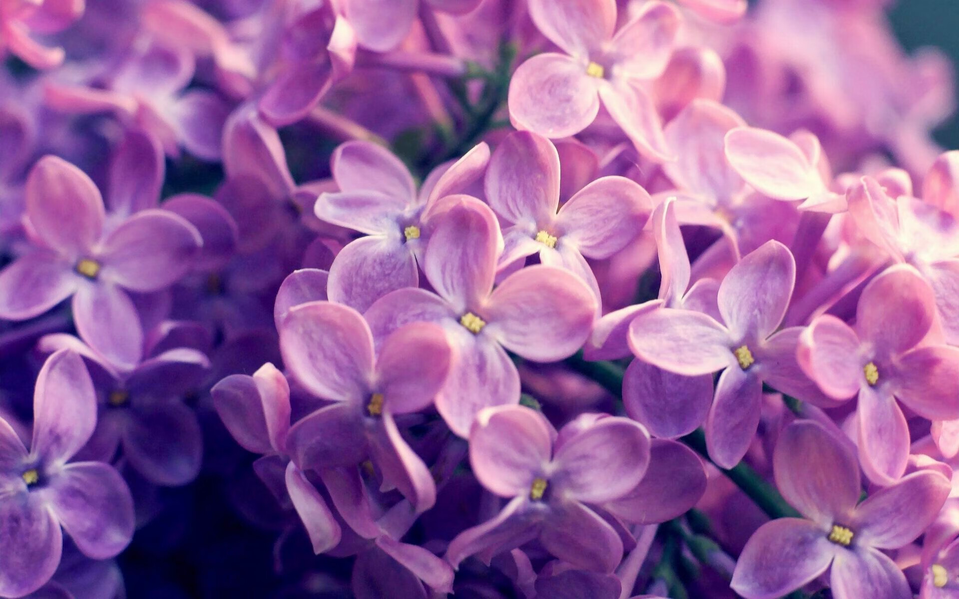 卡尔马取胜，豪华进入积分榜前列，卡尔马赛程ds