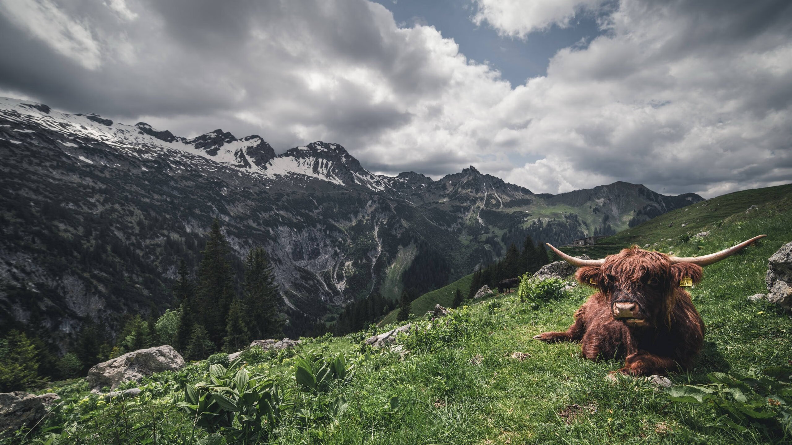 Chinese Taipei团队的未来：持续进步与赛事布局的战略，chinese of taipei