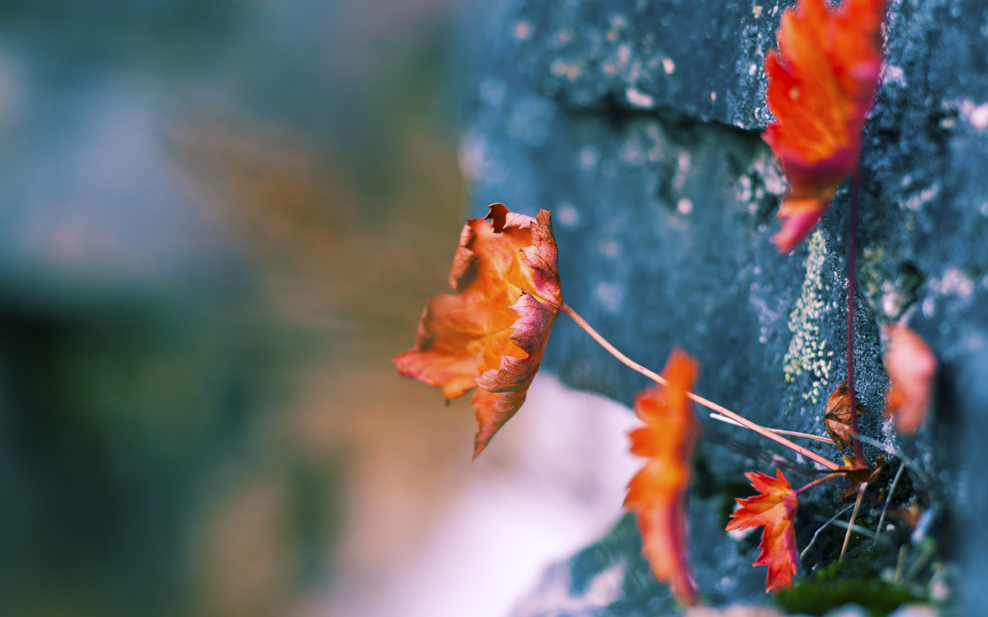 青训体系普遍缺少守门员专项训练，青少年守门员训练