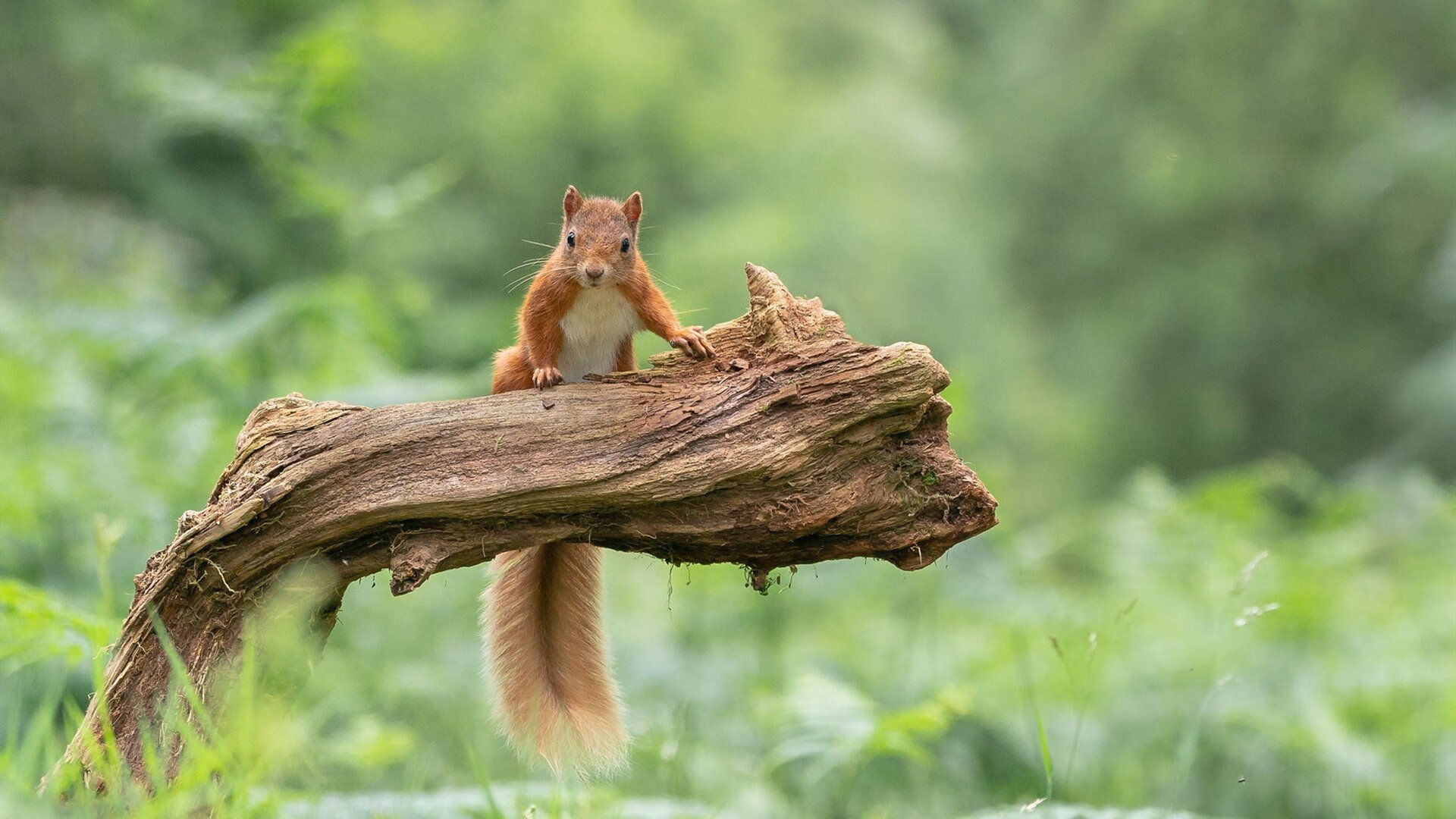 热火持续加强防守效率全场压制对手，热火防守体系